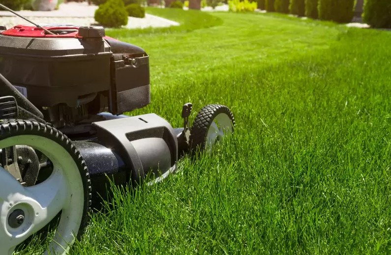 Should Lawn Mowing Be Done Regularly?